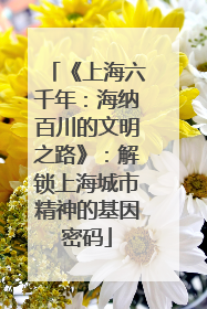 《上海六千年：海纳百川的文明之路》：解锁上海城市精神的基因密码