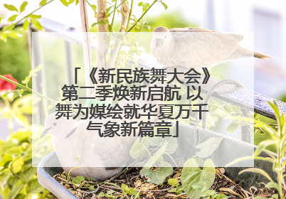 《新民族舞大会》第二季焕新启航 以舞为媒绘就华夏万千气象新篇章