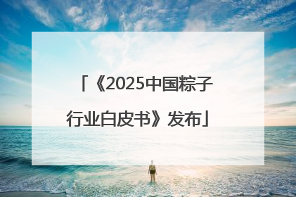 《2025中国粽子行业白皮书》发布