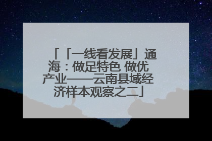 「一线看发展」通海：做足特色 做优产业——云南县域经济样本观察之二