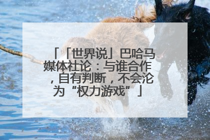「世界说」巴哈马媒体社论：与谁合作，自有判断，不会沦为“权力游戏”