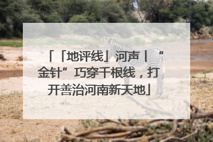 「地评线」河声丨“金针”巧穿千根线，打开善治河南新天地