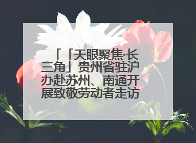「天眼聚焦·长三角」贵州省驻沪办赴苏州、南通开展致敬劳动者走访慰问活动