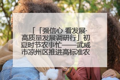 「强信心 看发展·高质量发展调研行」初夏时节农事忙——武威市凉州区推进高标准农田建设见闻