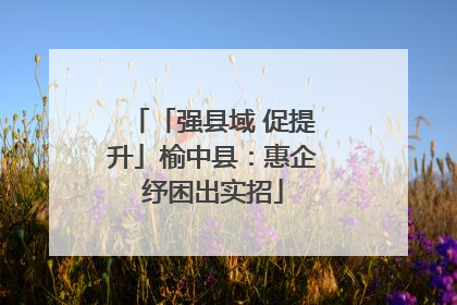 「强县域 促提升」榆中县：惠企纾困出实招