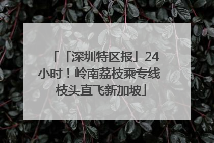 「深圳特区报」24小时！岭南荔枝乘专线 枝头直飞新加坡