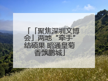 「聚焦深圳文博会」两地“牵手”结硕果 昭通皇菊香飘鹏城