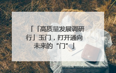 「高质量发展调研行」玉门，打开通向未来的“门”