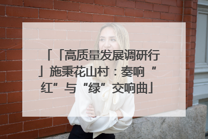 「高质量发展调研行」施秉花山村：奏响“红”与“绿”交响曲