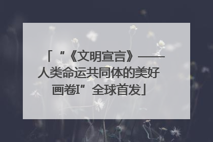 “《文明宣言》——人类命运共同体的美好画卷I”全球首发