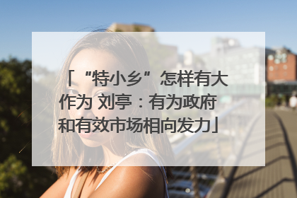 “特小乡”怎样有大作为 刘亭：有为政府和有效市场相向发力
