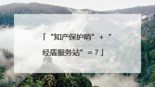 “知产保护哨”+“经盾服务站”=？