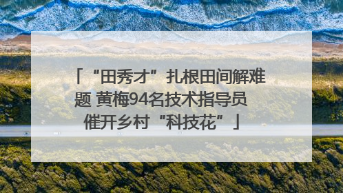 “田秀才”扎根田间解难题 黄梅94名技术指导员催开乡村“科技花”