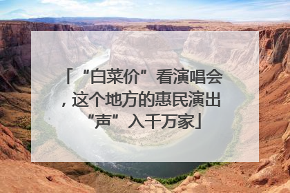 “白菜价”看演唱会，这个地方的惠民演出“声”入千万家