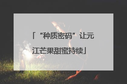 “种质密码”让元江芒果甜蜜持续
