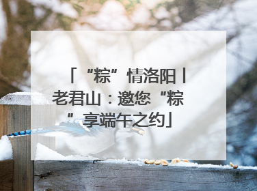 “粽”情洛阳丨老君山：邀您“粽”享端午之约