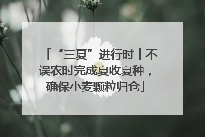 “三夏”进行时丨不误农时完成夏收夏种，确保小麦颗粒归仓