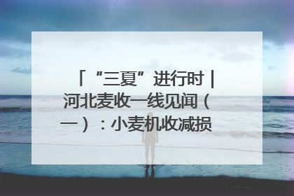 “三夏”进行时｜河北麦收一线见闻（一）：小麦机收减损“竞技” 农机高手麦田“过招”