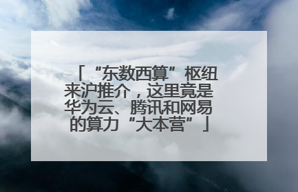 “东数西算”枢纽来沪推介，这里竟是华为云、腾讯和网易的算力“大本营”