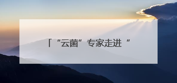 “云菌”专家走进“彩云英才荟”解读“一朵蘑菇”的产业未来