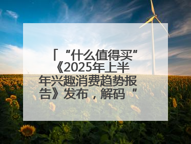 “什么值得买”《2025年上半年兴趣消费趋势报告》发布，解码“心价比”时代兴趣消费新范式