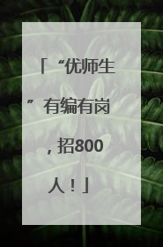 “优师生”有编有岗，招800人！