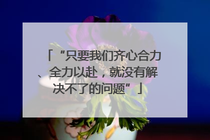 “只要我们齐心合力、全力以赴，就没有解决不了的问题”