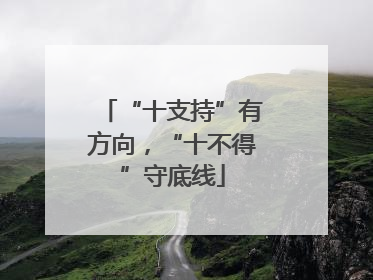 “十支持”有方向，“十不得”守底线