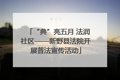 “典”亮五月 法润社区——新野县法院开展普法宣传活动