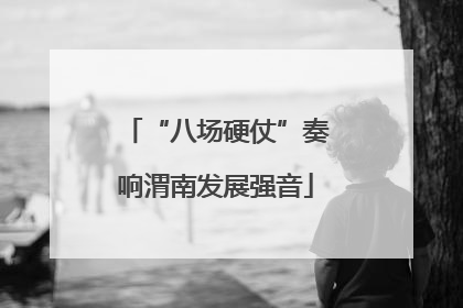 “八场硬仗”奏响渭南发展强音