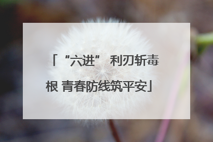 “六进” 利刃斩毒根 青春防线筑平安