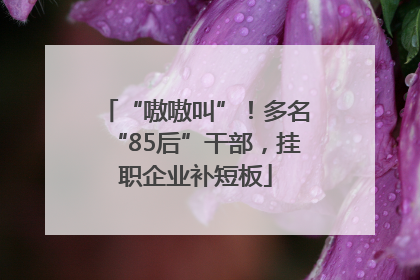 “嗷嗷叫”！多名“85后”干部，挂职企业补短板