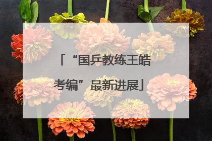 “国乒教练王皓考编”最新进展