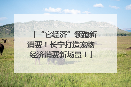 “它经济”领跑新消费！长宁打造宠物经济消费新场景！
