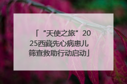 “天使之旅”2025西藏先心病患儿筛查救助行动启动