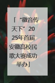 “徽音传天下”2025年首届安徽高校民歌大赛成功举办