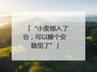 “小麦都入了仓，可以睡个安稳觉了”