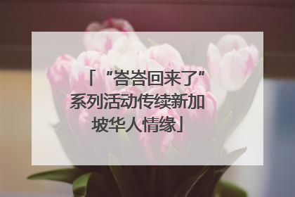 “峇峇回来了”系列活动传续新加坡华人情缘