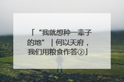 “我就想种一辈子的地”｜何以天府，我们用粮食作答②