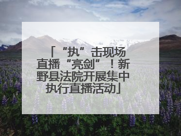“执”击现场 直播“亮剑”！新野县法院开展集中执行直播活动
