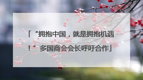 “拥抱中国，就是拥抱机遇！”多国商会会长呼吁合作