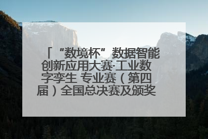 “数境杯”数据智能创新应用大赛·工业数字孪生 专业赛（第四届）全国总决赛及颁奖典礼成功举办