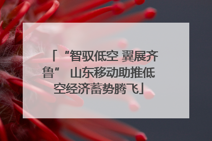 “智驭低空 翼展齐鲁” 山东移动助推低空经济蓄势腾飞