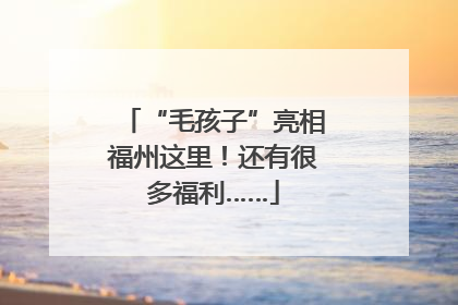 “毛孩子”亮相福州这里！还有很多福利……