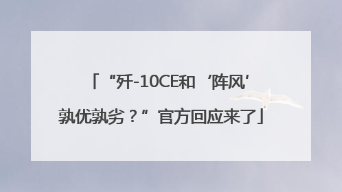 “歼-10CE和‘阵风’孰优孰劣？”官方回应来了