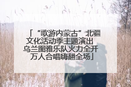 “歌游内蒙古”北疆文化活动季主题演出 乌兰图雅乐队火力全开 万人合唱嗨翻全场