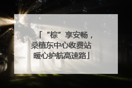 “棕”享安畅，桑植东中心收费站暖心护航高速路