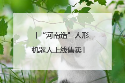 “河南造”人形机器人上线售卖