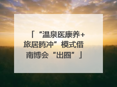 “温泉医康养+旅居腾冲”模式借南博会“出圈”