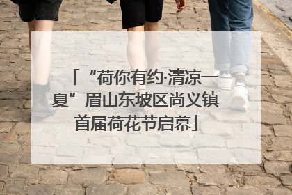 “荷你有约·清凉一夏”眉山东坡区尚义镇首届荷花节启幕